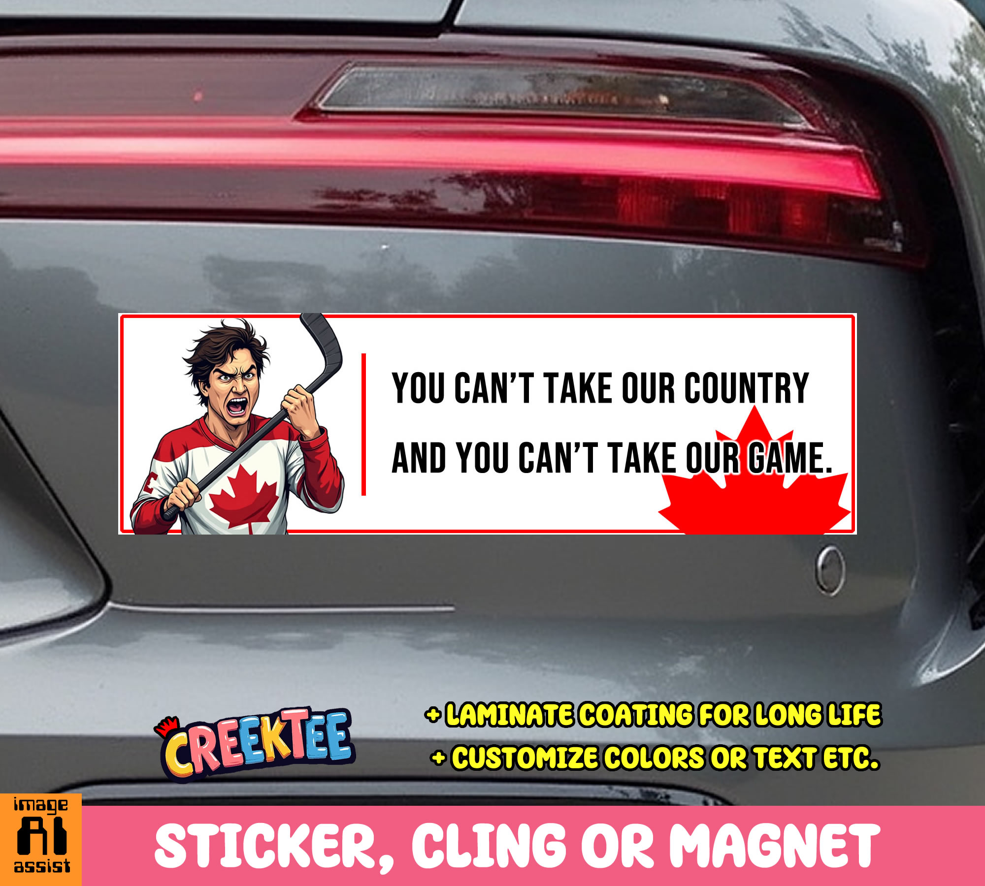 You Can t Take Our Country and You Can t Take Our Game Vinyl Bumper Sticker Window Cling or Magnet in UV Laminate Coating and Various Sizes
